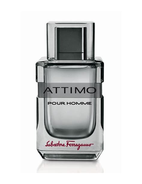 salvatore ferragamo attimo pour homme.